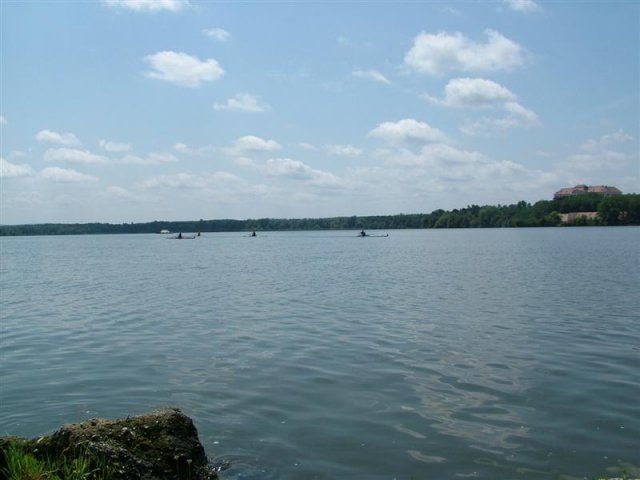 DSCF7263 (Medium)